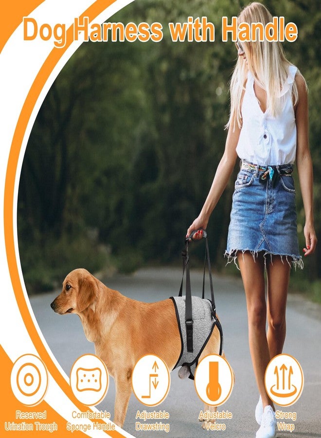 VINGVO Dog Sling for for Small Dogs Hind Leg Support, Dog Lift Harness for Back Legs Rehabilitation, Hip Brace Support Closure Adjustable Strap Large Elderly Dogs Lift Harness (S) - Image 3